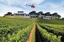 Sirromet Winery + CBD & Mt Coot-tha Private Helicopter Experience