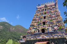 Half Day Discovery Tour of Victoria - Seychelles Capital on Mahe Island