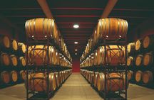 Winery Tour and Wine Tasting in Montepulciano d'Abruzzo