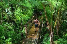  Full-Day Tour: El Yunque, Luquillo Beach, Bio Bay Night Kayaking