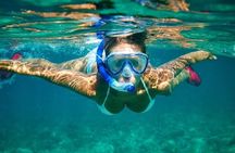 Snorkeling Experience in Cabo San Lucas (4 hours)