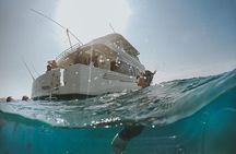 Snorkeling Experience in Cabo San Lucas (4 hours)