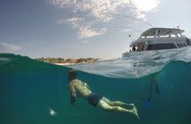 Snorkeling Experience in Cabo San Lucas (4 hours)