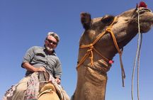 Camel Safari Experience With Locals