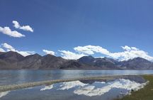 Leh to Pangong Lake with Overnight in Camp/ Guest-house