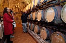 Wine and Culinary Adventure in Jeruzalem - Full Day Tour from Ljubljana or Ptuj