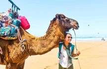 A wonderful day in Essaouira from Marrakech