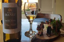 Wine, Singani & Cheese Tasting Tour - Half Day - Private Service