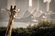 Sydney Harbour 2-Day Hop On Hop Off Cruise with Taronga Zoo entry