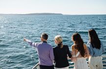 Taronga Zoo & Whale Watching Cruise Combo - Sydney Harbour