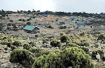 6 days Kilimanjaro Climbing Machame Route in Tanzania