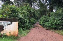 Book Day Hike at Rau Forest Reserve, Near Moshi Town in Tanzania