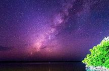 Bioluminescent Night Tour