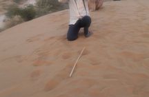 Camel Safari Experience With Locals