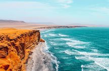 3 Day Tour from Lima: Nazca Lines Flight, Paracas, and Huacachina