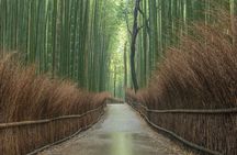 10 Must-see Spots in Kyoto One Day Private Tour (up to 7 people)