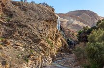 Private One Night Ma'in Waterfalls and Hot Springs Tour from Amman 