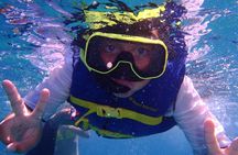 Snorkeling Experience in Cabo San Lucas (4 hours)