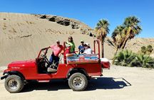 San Andreas Fault Jeep Tour from Palm Springs
