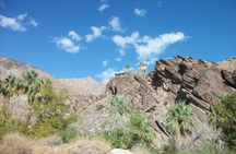 Indian Canyons Hiking Tour by Jeep from Palm Desert