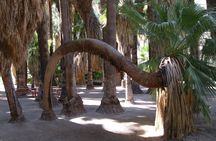 Indian Canyons Hiking Tour by Jeep from Palm Desert