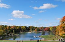 Small-Group Sightseeing Tour of Montreal