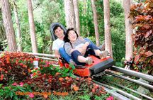 VIP Private Tour in Dalat City and Waterfall