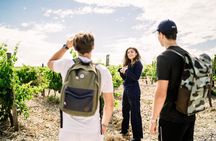 Guided Visit of Château l'Hospitalet with tasting of 4 wines