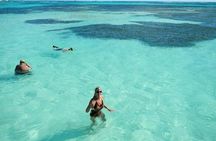 Saona island Excursion - From Bayahibe