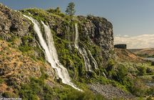 Guided Half-Day Tour Scenic Adventure & Wine Tasting Tour 
