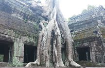 Private Guide In and Around Siem Reap: Custom tour