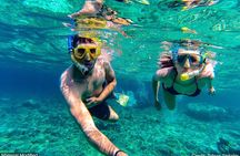 Costa Rica: See & Experience it ALL in 11 Days, 1st Class Custom Tours