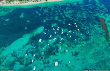 Dominican Republic: See Almost it ALL in 6 Days, 1st Class Custom Tours