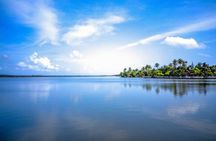 Kerala Sea Food Trail: An Excursion To Cherai Beach