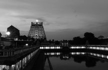 Pichavaram Mangrove & Nataraja Temple Chidambaram from Pondicherry with lunch
