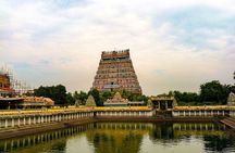 Pichavaram Mangrove & Nataraja Temple Chidambaram from Pondicherry with lunch
