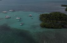 La Parguera Glowing Bioluminescent Bay Boat Tour from San Juan