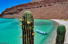 Cabo San Lucas & Southern Baja California: ALL in 6 Days, 1st Class Custom Tours