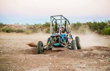 Cabo San Lucas & Southern Baja California: ALL in 6 Days, 1st Class Custom Tours