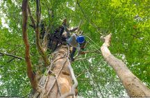 North & Central Thailand: See it ALL in 12 Days, 1st Class Tours