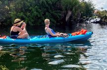 Full Day Tandem Kayak Rental For Two People In Crystal River, Florida