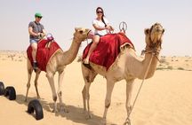 Dubai Desert Safari with Dinner, Camel Ride & Dune Bashing