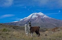 Cuenca to Quito 4 or 5 Day Tour with Chimborazo, Quilotoa, Baños and Cotopaxi.