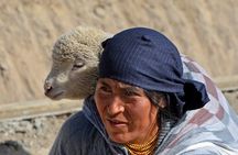 Cuenca to Quito 4 or 5 Day Tour with Chimborazo, Quilotoa, Baños and Cotopaxi.