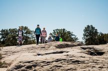 Zion National Park Petroglyphs, Dino tracks and More!
