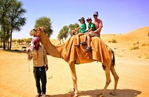 4x4 Desert Safari with BBQ Ras al Khaimah from Ras al Khaimah and Fujairah