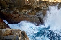The Gap and Natural Wonders