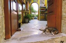 4 Day Private Tour, Crete, Santorini, Mykonos, Delos from Athens