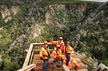 Knysna Ziplines Tour 