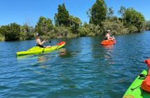 Full Day Single Kayak Rental In Crystal River